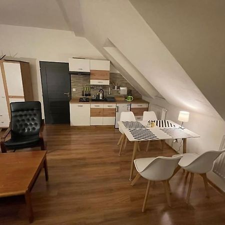 Francis Apartment - Lazenske Centrum Карлови Вари Екстериор снимка