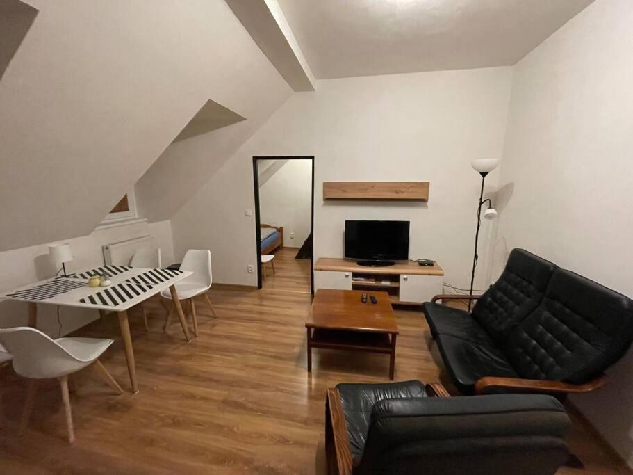 Francis Apartment - Lazenske Centrum Карлови Вари Екстериор снимка