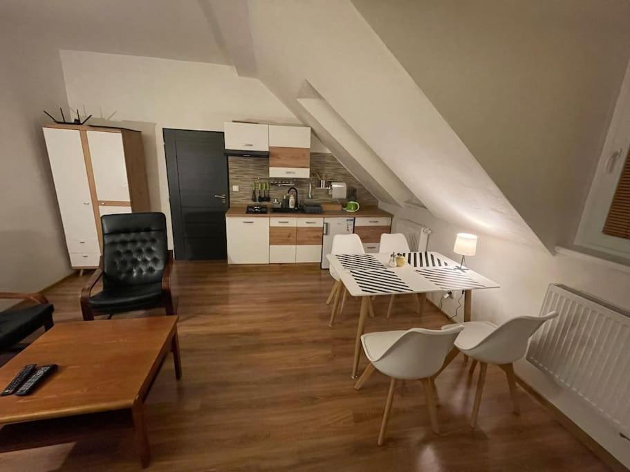 Francis Apartment - Lazenske Centrum Карлови Вари Екстериор снимка